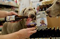 Pictures of the Day: 