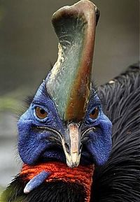 Pictures of the Day: 