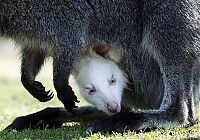 Pictures of the Day: 