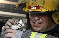 Pictures of the Day: 