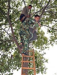 Pictures of the Day: 