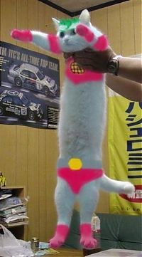 Pictures of the Day: 