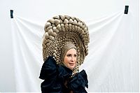 Pictures of the Day: 