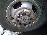 Pictures of the Day: 