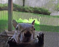 Pictures of the Day: 