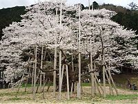 Pictures of the Day: 