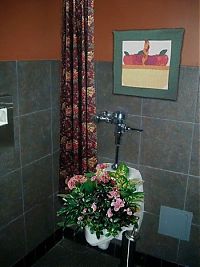 Pictures of the Day: 