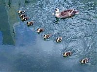 Pictures of the Day: 