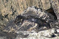 Pictures of the Day: 