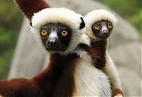 Pictures of the Day: 