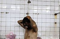 Pictures of the Day: 