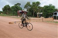 Pictures of the Day: 