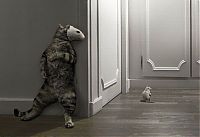 Pictures of the Day: 