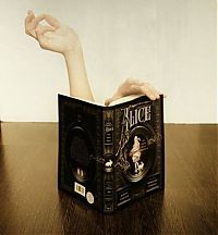 Pictures of the Day: 