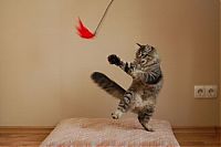 Pictures of the Day: 