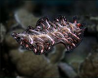 Pictures of the Day: 