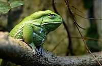 Pictures of the Day: 