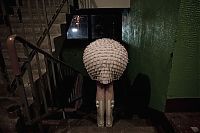 Pictures of the Day: 