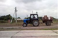 Pictures of the Day: 