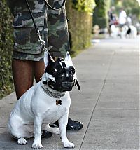 Pictures of the Day: 