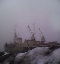 Pictures of the Day: 