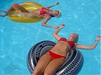 Pictures of the Day: 