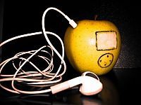 Pictures of the Day: 