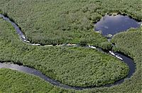 Pictures of the Day: 