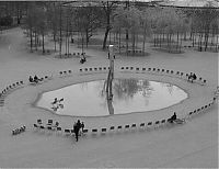 Pictures of the Day: 