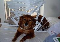 Pictures of the Day: 