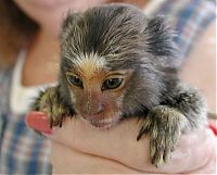 Pictures of the Day: 