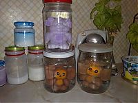 Pictures of the Day: 