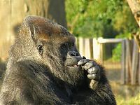 Pictures of the Day: 