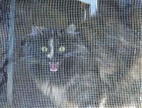 Pictures of the Day: 