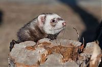 Pictures of the Day: 