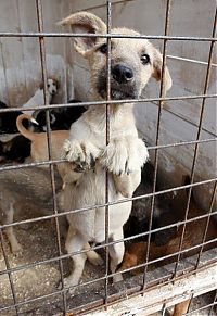 Pictures of the Day: 