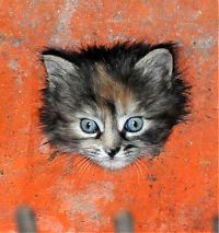 Pictures of the Day: 