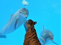 Pictures of the Day: 