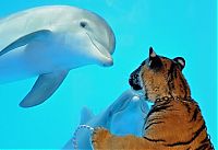 Pictures of the Day: 