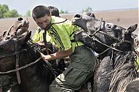 Pictures of the Day: Kyrgyzstan Horse Game