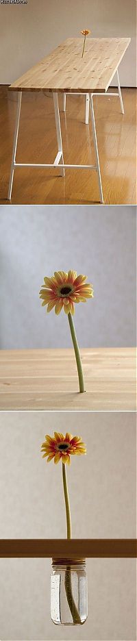 Pictures of the Day: 