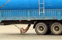 Pictures of the Day: 