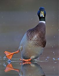 Pictures of the Day: 