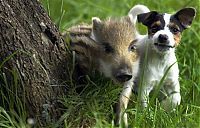 Pictures of the Day: 