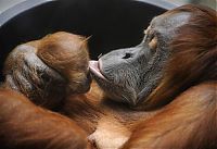 Pictures of the Day: 