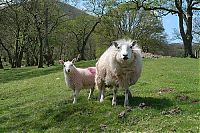 Pictures of the Day: 