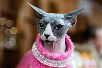 Pictures of the Day: 