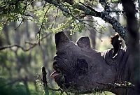 Pictures of the Day: 