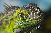 Pictures of the Day: 