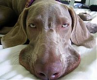 Pictures of the Day: 